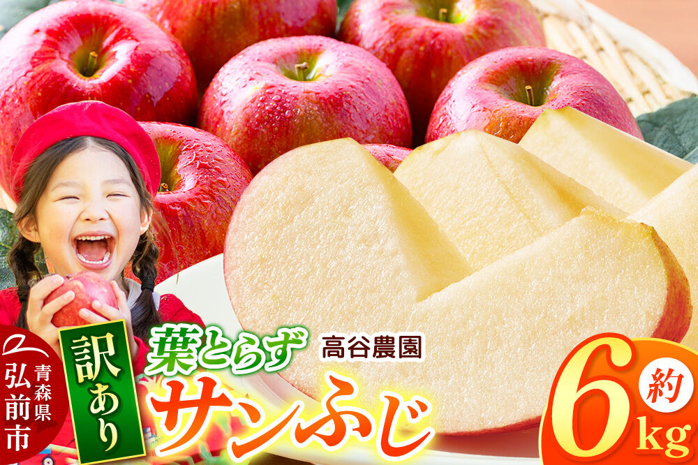 【26年11月～発送】りんご 高谷農園【訳あり】葉とらずサンふじ 約6kg [青森産 りんご サンふじ 葉とらず アップル 林檎 リンゴ 果物 果実 赤色 美味 青森県 弘前市]