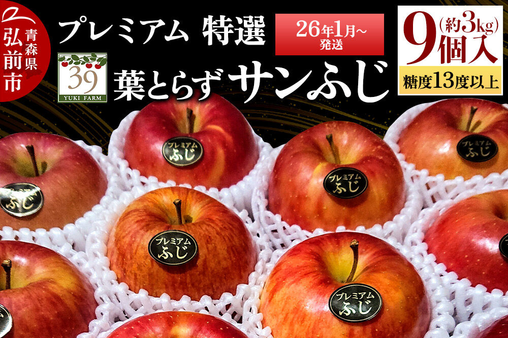 【26年1月～発送】りんご 【 数量限定 】糖度13度以上 「特選」 プレミアム 葉とらずサンふじ 約 3kg 9個入り