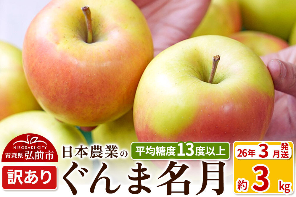 [26年3月クール便発送]りんご 平均糖度13度以上! ぐんま名月 約3kg 訳あり クール便 青森 果物 フルーツ 林檎 リンゴ くだもの 不揃い 規格外 [ぐんま名月 りんご 訳あり クール便 果物 フルーツ 林檎 リンゴ くだもの 不揃い 規格外 青森県 弘前市]