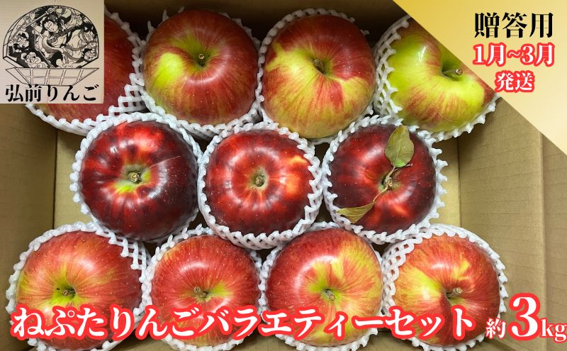 [1月〜3月発送]ネプタりんごバラエティーセット贈答用約3kg[品種おまかせ][弘前市産・青森りんご]