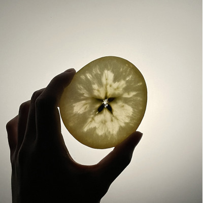 【令和7年11月上旬～発送】今年もお届け。味にこだわる生産者から「葉とらずこうとく」2.8kg【配送不可地域：離島】