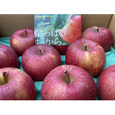 鎌田林檎園直送!　こだわりの個性派　葉隠れサンふじ　約3kg 【スタンダード品】