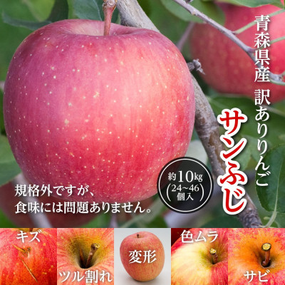 今年も約10kgお届けします!　訳ありりんご「サンふじ」24～46個入【R7年12月中旬～発送開始】【配送不可地域：離島・沖縄県】