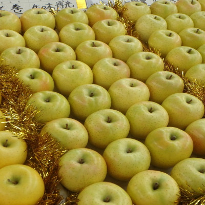 甘い青りんごの定番　青森県産　王林　贈答用　約5キロ　農家直送
