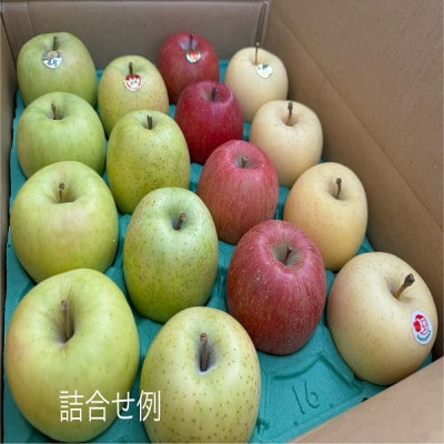 園主おススメ!　旬のりんご詰め合わせ　【贈答用】　約5キロ　4品種食べ比べ