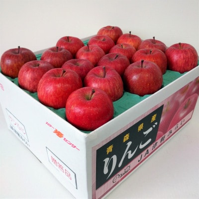 サンふじ　約10kg【津軽みらい農業協同組合の青森県産りんご】