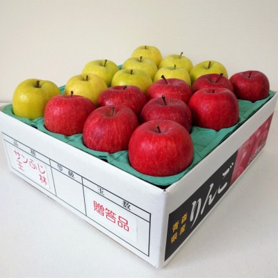 サンふじ×その他品種　約5kg【津軽みらい農業協同組合の青森県産りんご】