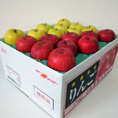 サンふじ×その他品種　約10kg【津軽みらい農業協同組合の青森県産りんご】