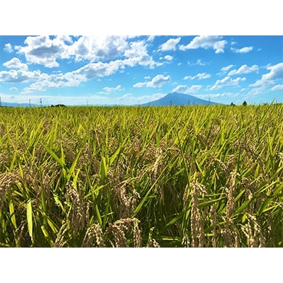 青森県黒石産　寿司専米「ムツニシキ」5kg×1袋