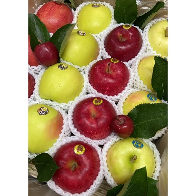 りんご　おまかせミックス　5kg