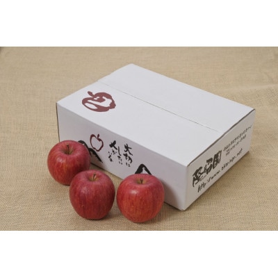 【りんごの代名詞】サンふじ贈答用品3kg