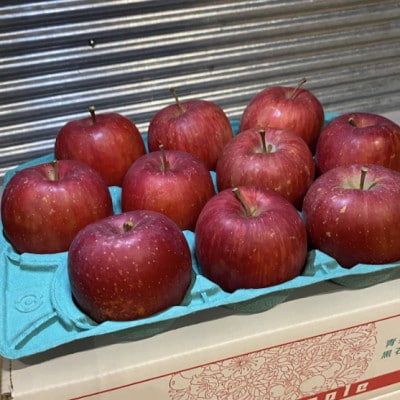 SevenApple木村農園から直送　樹上完熟さんふじ3kg