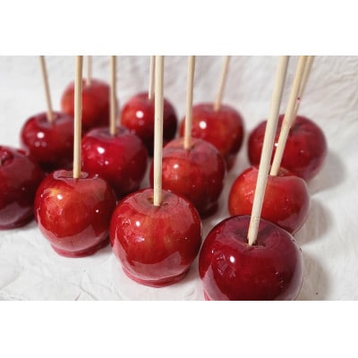 【ご自宅用　紅玉　令和7年9月下旬～発送】約5k(18～30個入)黒昇会DB箱入　特殊な光センサ選果【配送不可地域：離島】