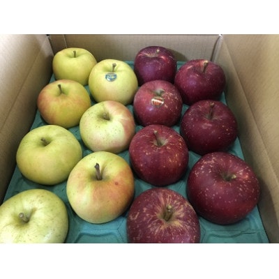 早生ふじ＆トキ　家庭用　約5キロ　中生種りんご　一押し詰合せ!　10月上旬から発送予定【配送不可地域：離島】