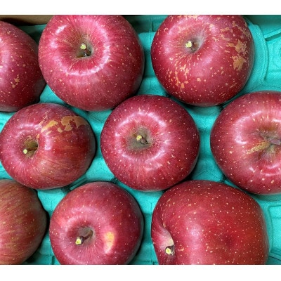 【訳あり】鎌田林檎園直送!太陽をいっぱい浴びたりんご 甘酸適和のサンふじ 5kg箱(14個～23個)