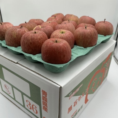 【令和7年9月下旬～随時発送予定】　内容量　10kg(26～46個入)　訳ありりんご　早生ふじ【配送不可地域：離島・沖縄県】