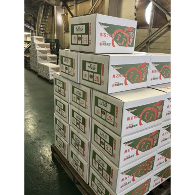 令和7年10月～順次発送　酸味ですっきり　訳ありサンジョナゴールド　10kg(26～40個入)【配送不可地域：離島・沖縄県】