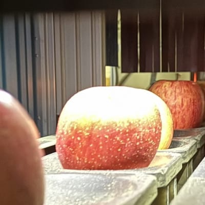 ストレートりんごジュース＆りんご【サンふじ】セット　5kg箱