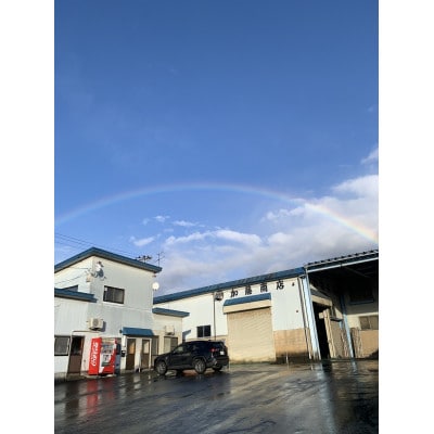 青森県産 　本州最北端の桃 　4.5kg(12～20玉)　【2026年8月中旬ごろ～発送開始】【配送不可地域：離島】