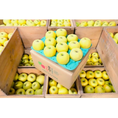 【26年2月より順次発送】平均糖度13度以上! シナノゴールド 約5kg おもてなし用【配送不可地域：沖縄県】