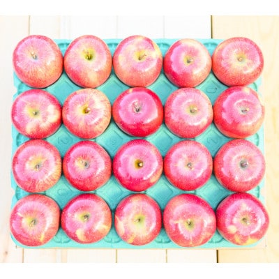 平均糖度13度以上! サンふじ 約3kg 贈答【配送不可地域：沖縄県】