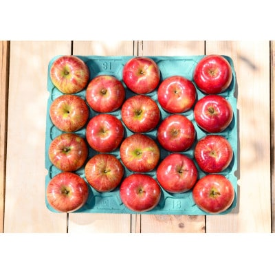 平均糖度12度以上! サンつがる 約10kg おもてなし用  クール便【配送不可地域：離島・沖縄県】