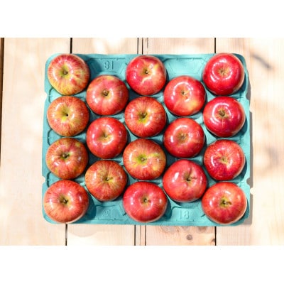 平均糖度12度以上! サンつがる 約5kg 訳あり  クール便【配送不可地域：離島・沖縄県】