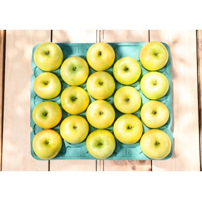 【25年9月より順次発送】平均糖度12度以上! 黄王 約10kg 訳あり  クール便【配送不可地域：離島・沖縄県】