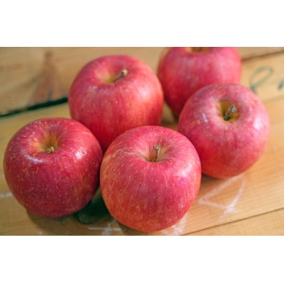 【26年5月出荷予定】平均糖度13度以上! 有袋ふじ 約5kg 訳あり CA貯蔵 クール便【配送不可地域：離島・沖縄県】