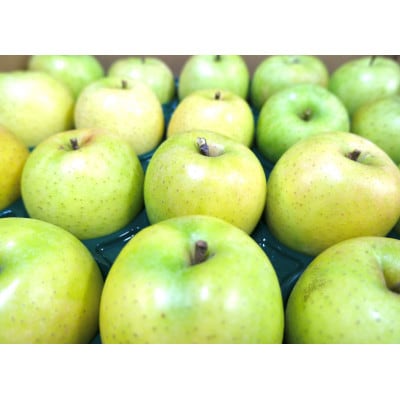 【25年11月出荷】平均糖度13度以上! 王林 約10kg 訳あり【配送不可地域：離島・沖縄県】