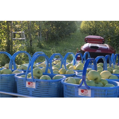 青森県産　黄王(きおう)　贈答用　約3kg　和梨の様なシャキシャキ食感の、軽やかな甘さの夏りんご【配送不可地域：離島】