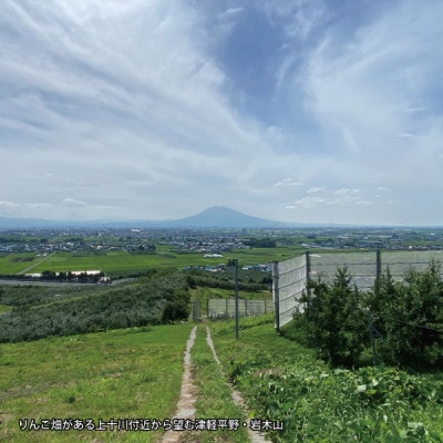 青森県黒石市上十川産サンふじ100%使用　無添加　いちからつくったりんごジュース　1L×6本セット