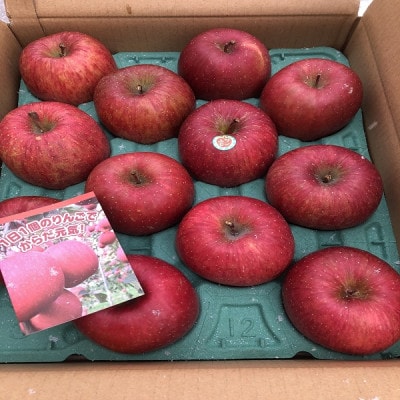 りんごと言えば、本場青森県産サンふじ　贈答用　約3kg　9個前後入り　農家直送　蜜入り期待大!【配送不可地域：離島】
