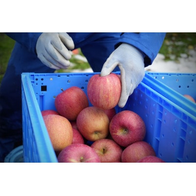 【2025年12月発送予定】糖度13度以上保証!サンふじ約3kg(6～18玉) 訳あり【配送不可地域：離島・沖縄県】