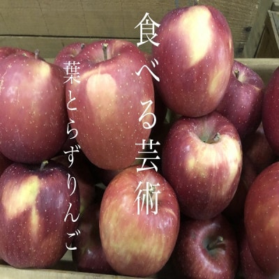 葉とらずサンふじ　家庭用　3キロ　見た目も個性的で、味を追求したりんご