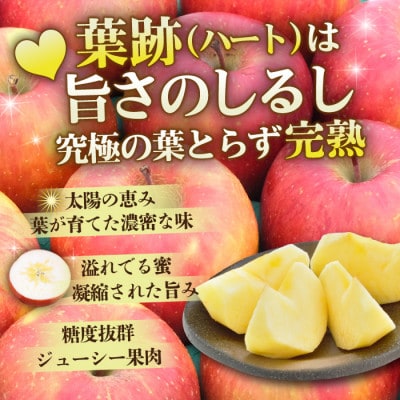 【4月出荷予定】平均糖度13度以上! 葉とらずサンふじ 約3kg 訳あり クール便【配送不可地域：離島・沖縄県】