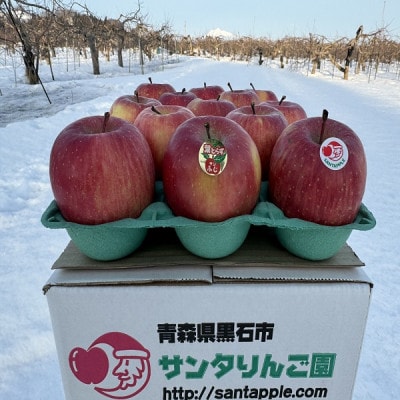 蔵出し春りんご　葉とらずサンふじ　小玉　約3キロ(13個前後入)　実が硬めで食感良好【配送不可地域：離島】