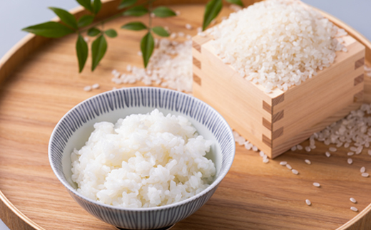 青天の霹靂(5kg×2袋)　合計10kg【配送不可地域：離島・沖縄県】