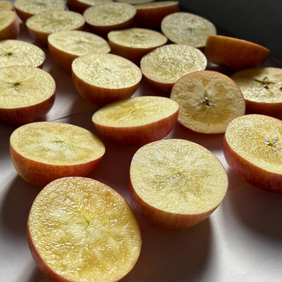 【令和7年11月上旬～発送】今年もお届け。味にこだわる生産者から「葉とらずこうとく」2.8kg【配送不可地域：離島】