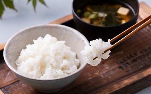 まっしぐら　精米5kg×1袋【配送不可地域：離島・沖縄県】