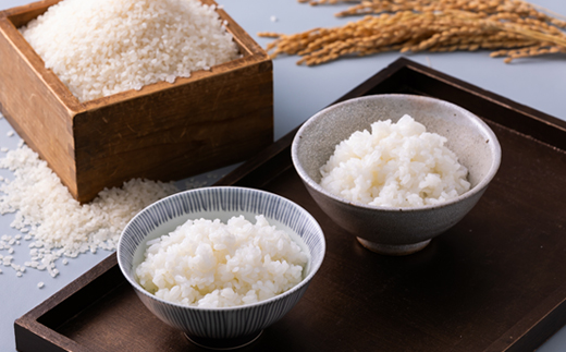 青天の霹靂・まっしぐら　精米　計10kg(各5kg×1袋)【配送不可地域：離島・沖縄県】