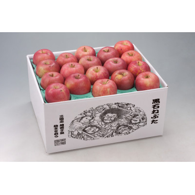 【2025年9月末～発送開始】内容量　約10Kg　訳ありりんご　早生ふじ　24～46個入【配送不可地域：離島・沖縄県】