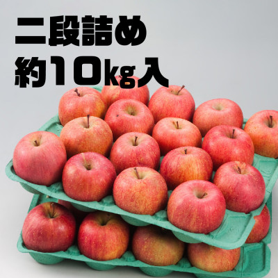 今年も約10kgお届けします!　訳ありりんご「サンふじ」24～46個入【R7年12月中旬～発送開始】【配送不可地域：離島・沖縄県】
