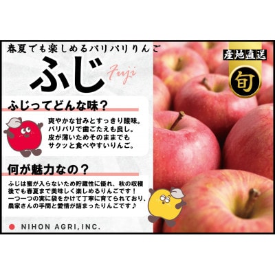 平均糖度13度以上! 有袋ふじ 約10kg 訳あり CA貯蔵 クール便【配送不可地域：離島・沖縄県】