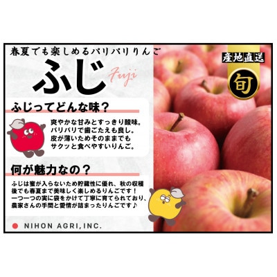 平均糖度13度以上! 有袋ふじ 約5kg 訳あり CA貯蔵 クール便【配送不可地域：離島・沖縄県】