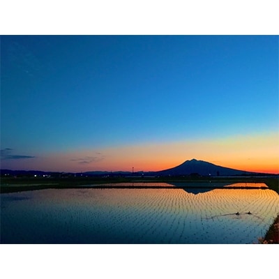 青森県黒石産　寿司専米「ムツニシキ」5kg×1袋