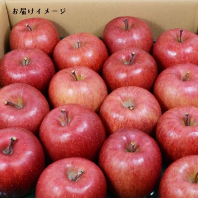 青森県黒石産サンふじ家庭用 約5kg