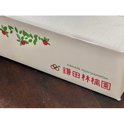 サクッと甘い!シナノスイート　青森県産りんご　約3kg(8個～12個)