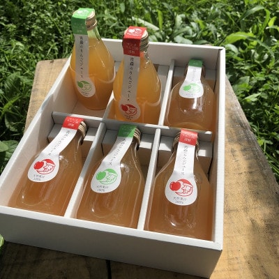 飲むりんご!　天然果汁100%りんごジュース　180ml×6本　化粧箱入　贈り物やプチギフトにどうぞ