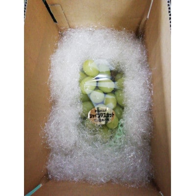 青森県黒石市産　シャインマスカット　約1kg(1房)　糖度18度以上贈答ランク